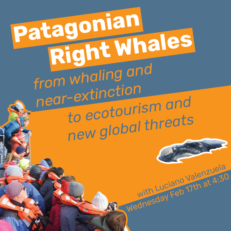 Southern Right Whales Lecture